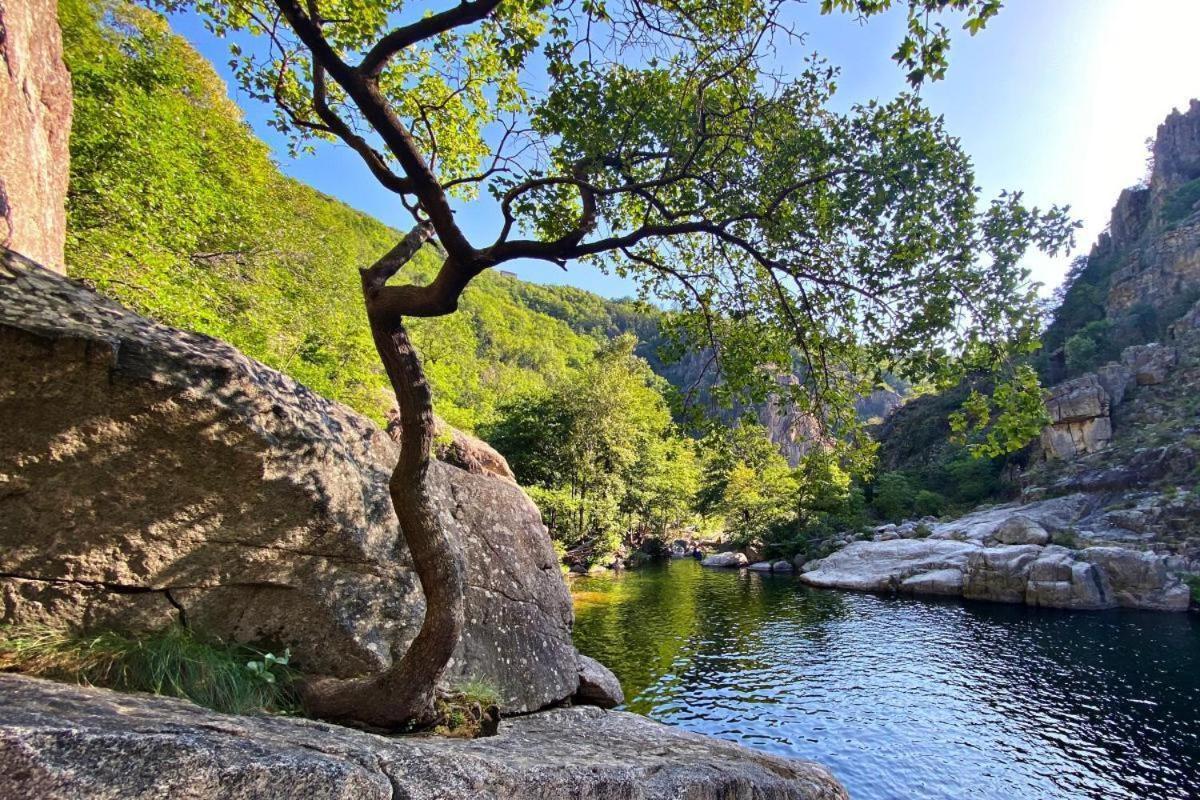 Bien Etre En 5 Etoiles Au Coeur Du Sud Ardeche, Domaine De Chaussy, Rivieres Vignobles Et Villages Classes Campsite *