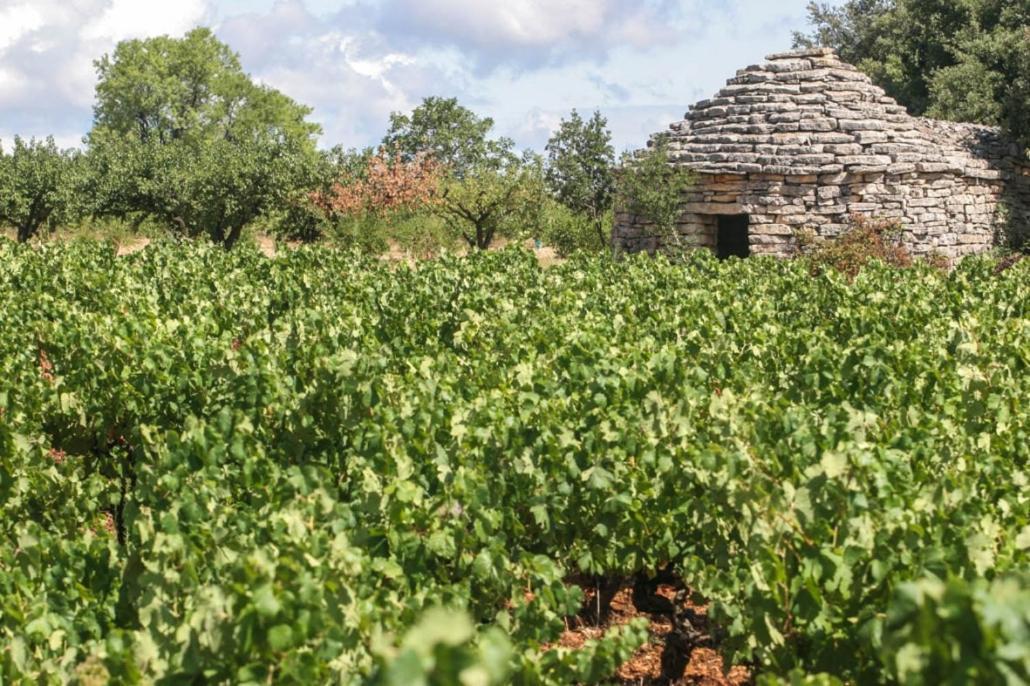 Bien Etre En 5 Etoiles Au Coeur Du Sud Ardeche, Domaine De Chaussy, Rivieres Vignobles Et Villages Classes * Lagorce (Ardeche)